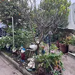 Popii Al Mare In Storica Fronte Mare Con Wifi E Aria Condizionata, Arredamenti Di Pregio E Giardino Parcheggio A Pagamento Su Richiesta Willa Riva Trigoso