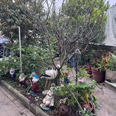 Popii Al Mare In Storica Fronte Mare Con Wifi E Aria Condizionata, Arredamenti Di Pregio E Giardino Parcheggio A Pagamento Su Richiesta Villa Riva Trigoso