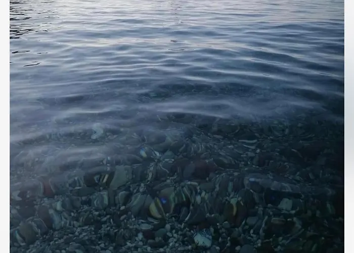 Popii Al Mare In Storica Fronte Mare Con Wifi E Aria Condizionata, Arredamenti Di Pregio E Giardino Parcheggio A Pagamento Su Richiesta Riva Trigoso